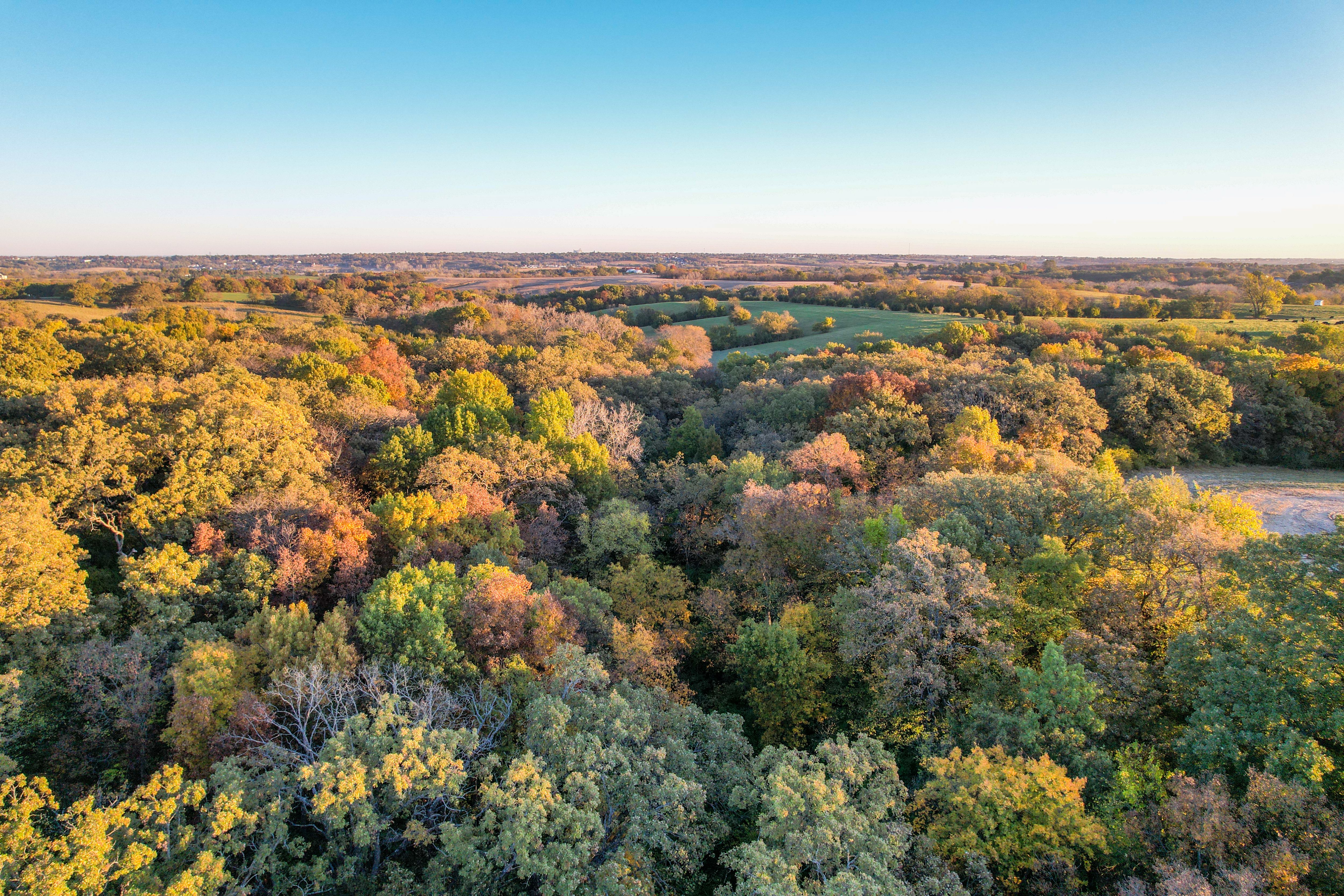 Listing Photo: Photo Oct 22 2025, 8 08 59 AM